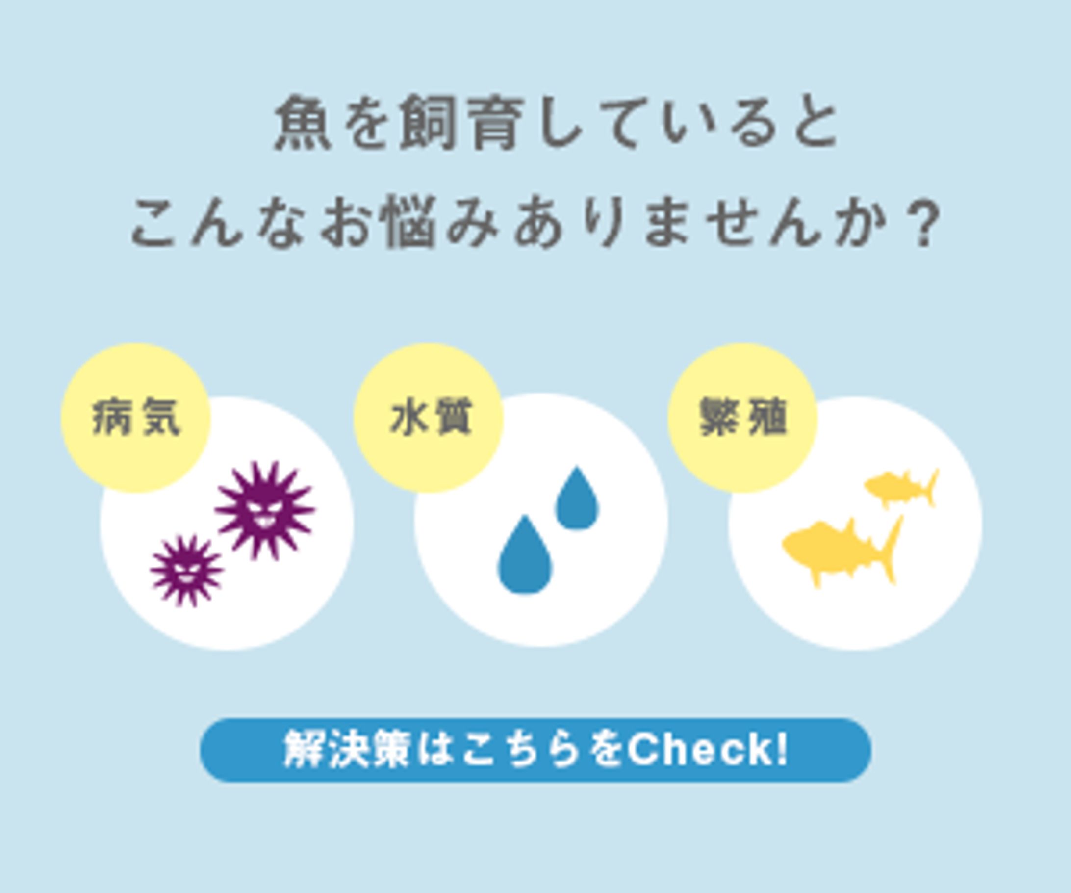 お悩み相談室 | バナー-1