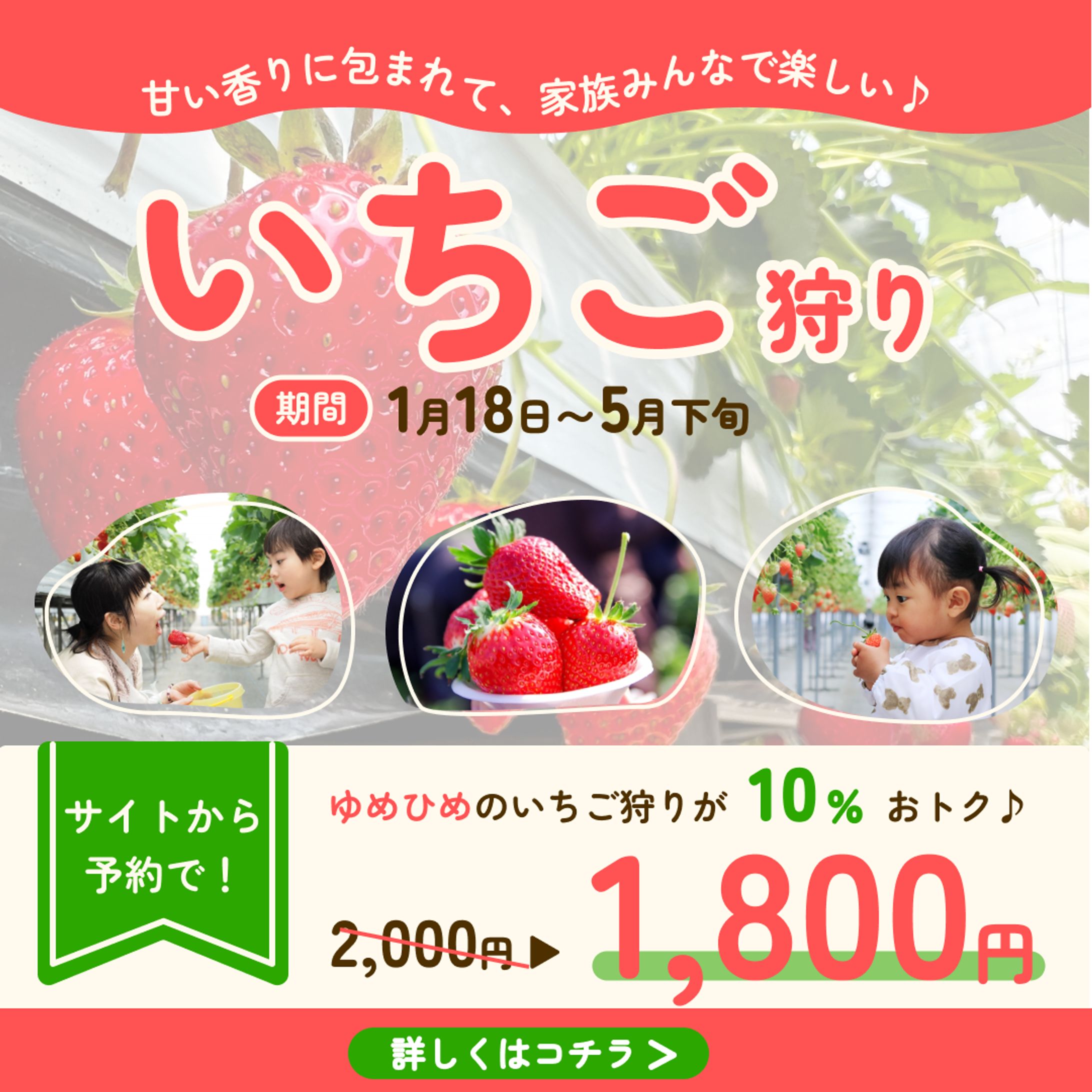 いちご品種「ゆめひめ」のいちご狩りがサイトからの予約を促すバナー-1