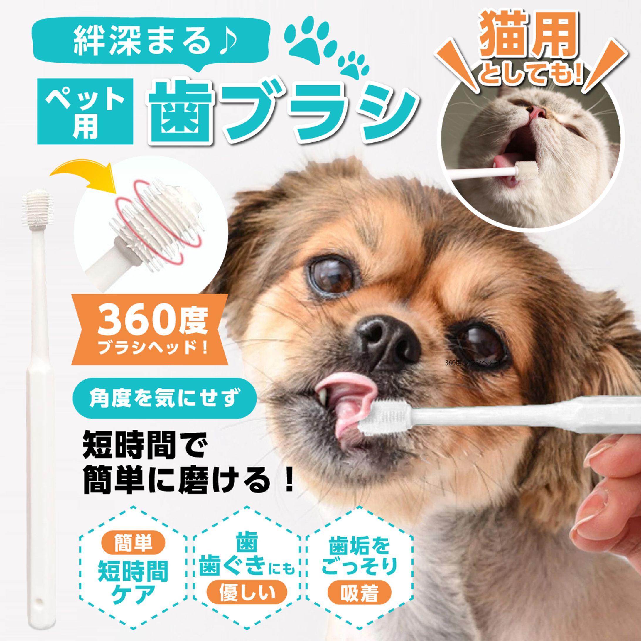 ペット用歯ブラシ-1