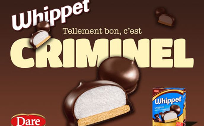 C04｜MAJ Pub de Whippet