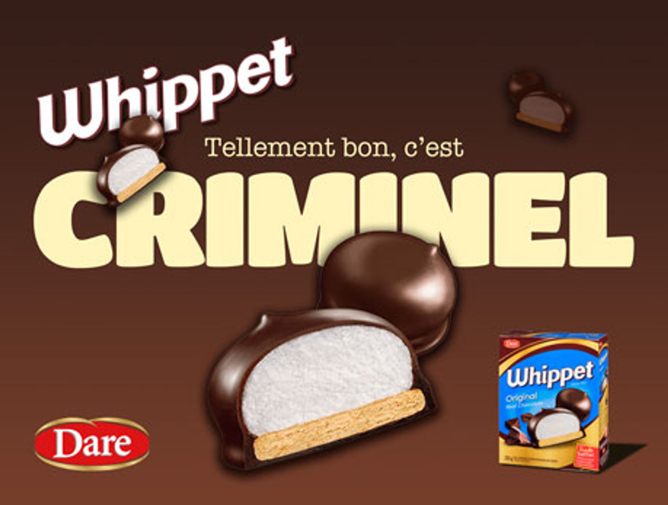 C04｜MAJ Pub de Whippet-1