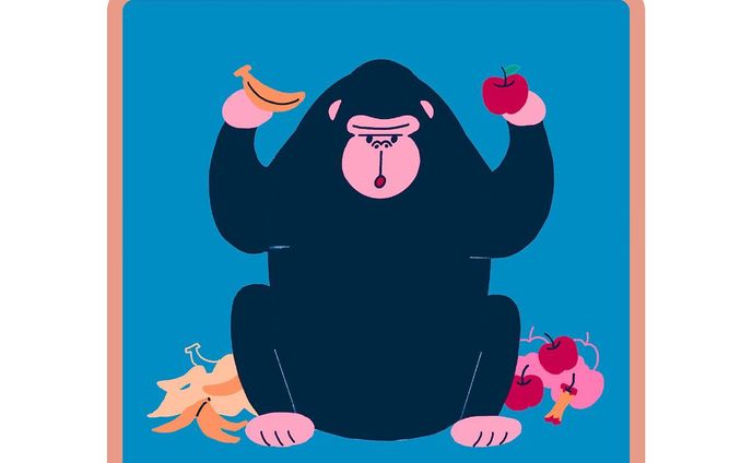 食い意地ゴリラ🦍🍌🍎

#illustration #art #graphicdesign #drawing #artwork #design #ゴリラ #gorilla #🦍
