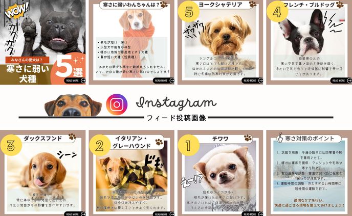 ilustrasi bebas、igフィード投稿