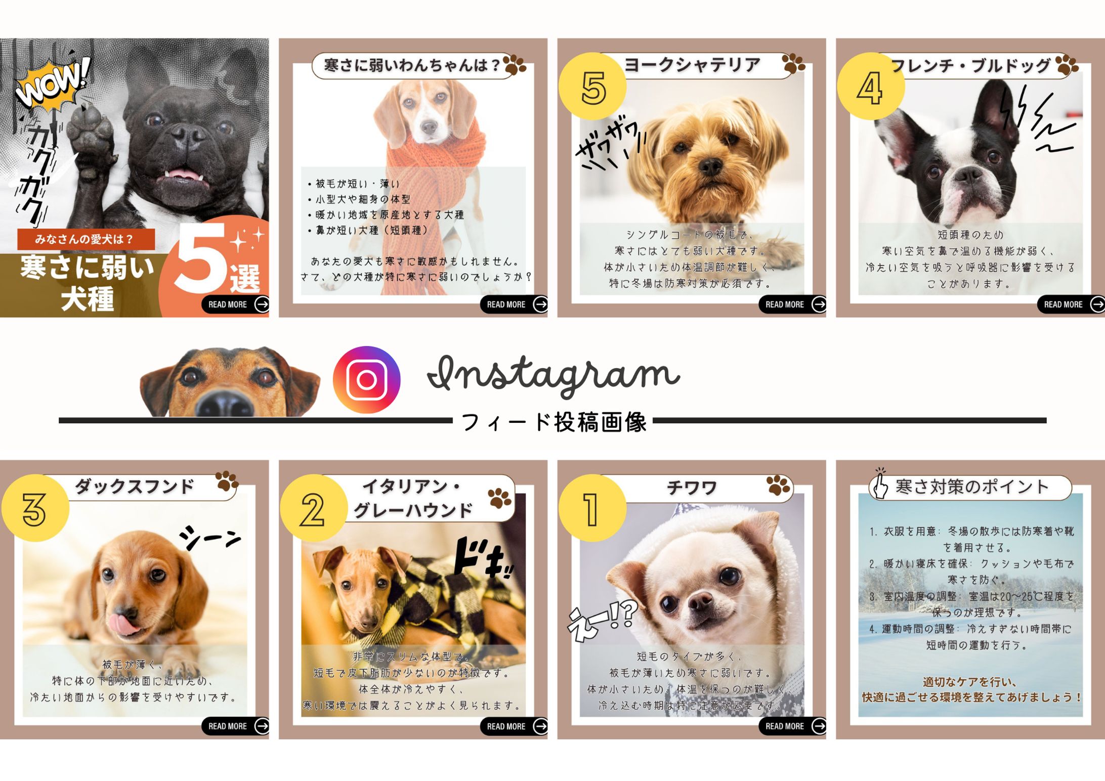 インスタフィード投稿-1