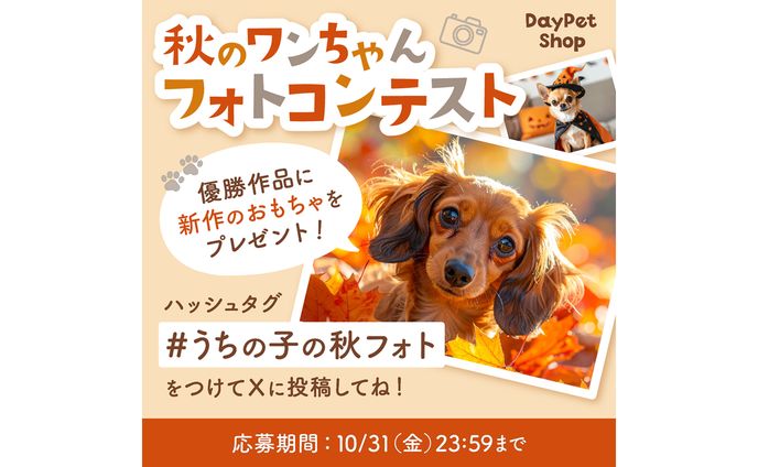 【自主制作】ペットの犬の秋フォトコンテスト バナー