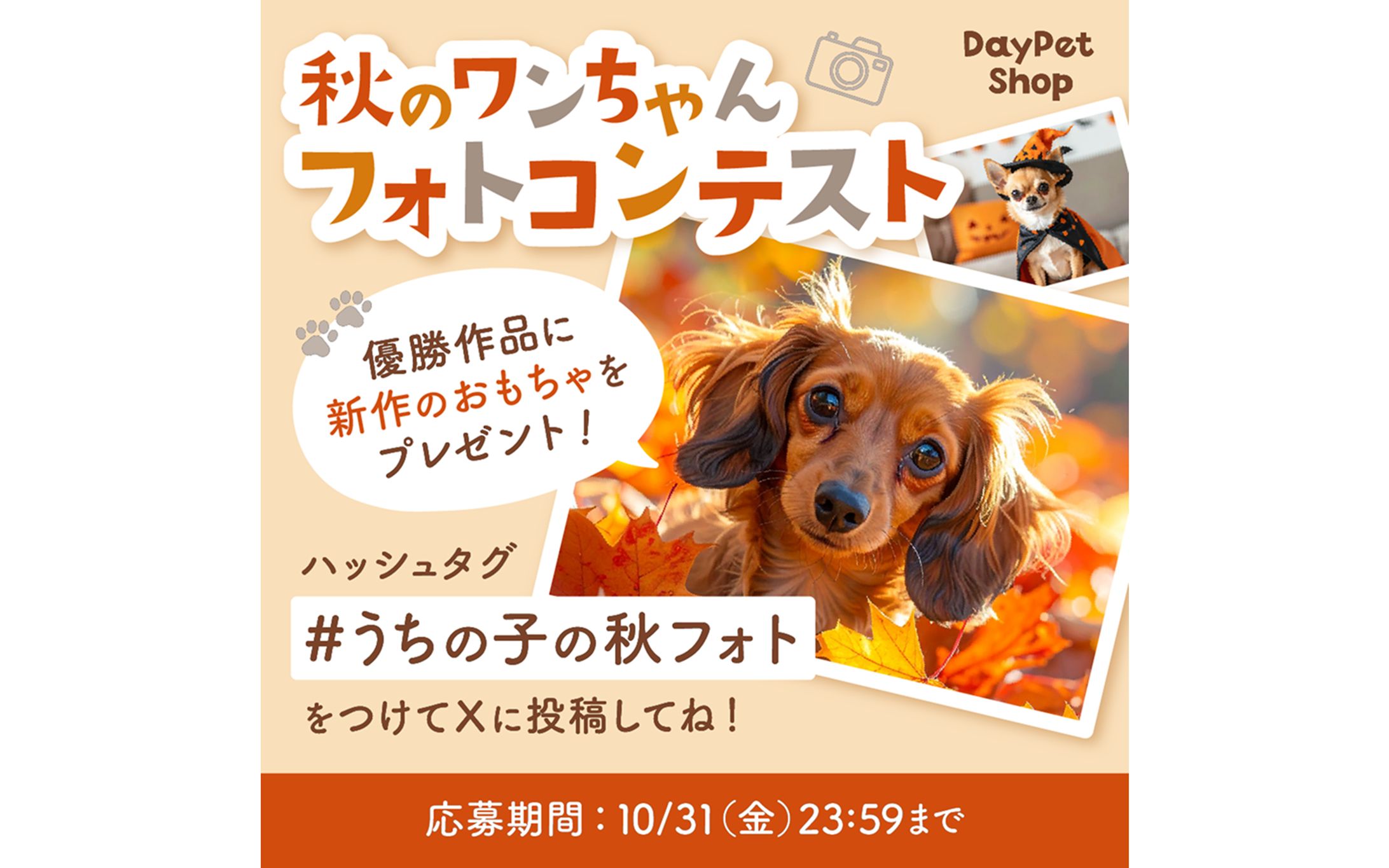 【自主制作】ペットの犬の秋フォトコンテスト バナー-1