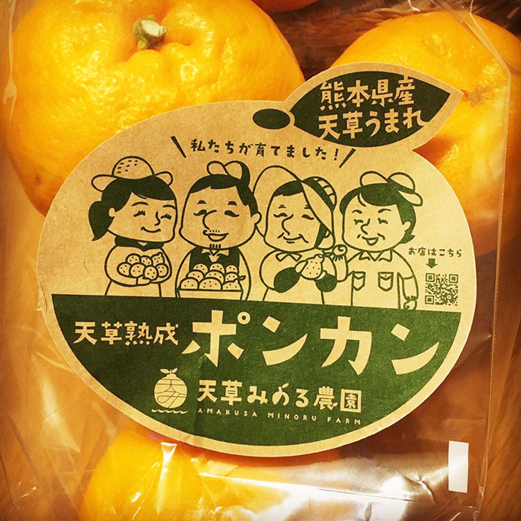 天草みのる農園様 ポンカン用ラベルシール-1