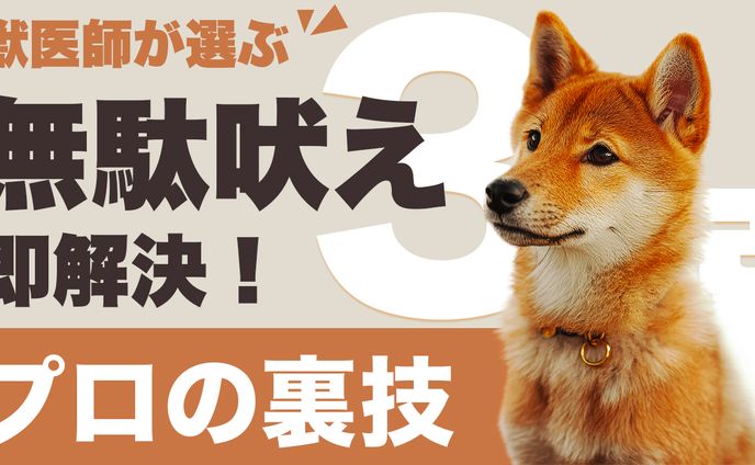 ペット系のサムネイル画像