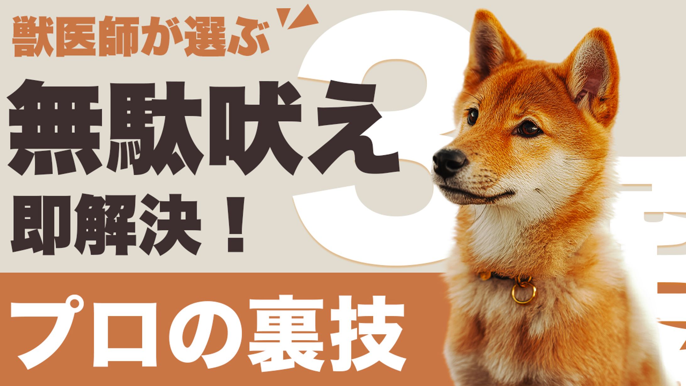 ペット系のサムネイル画像-1