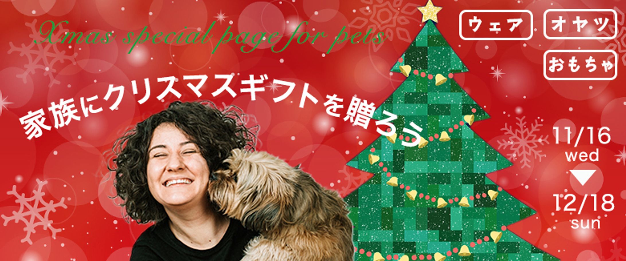 ペットクリスマス -1