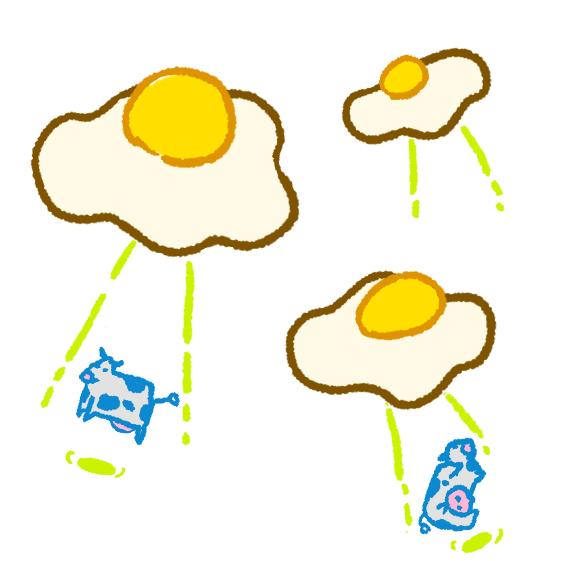 目玉焼きキャトルミューティレーション-1