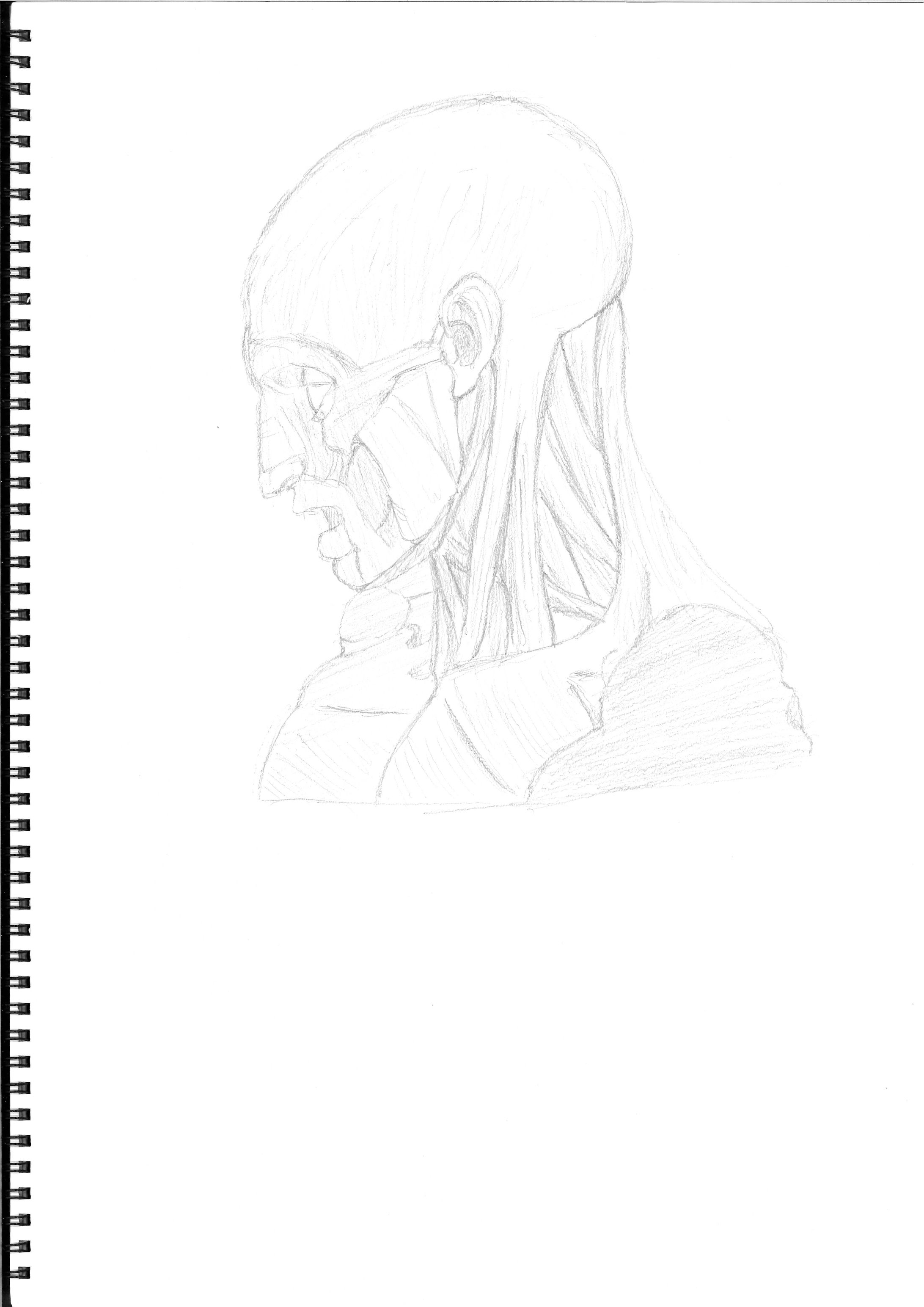 デッサン　人体　顔-1