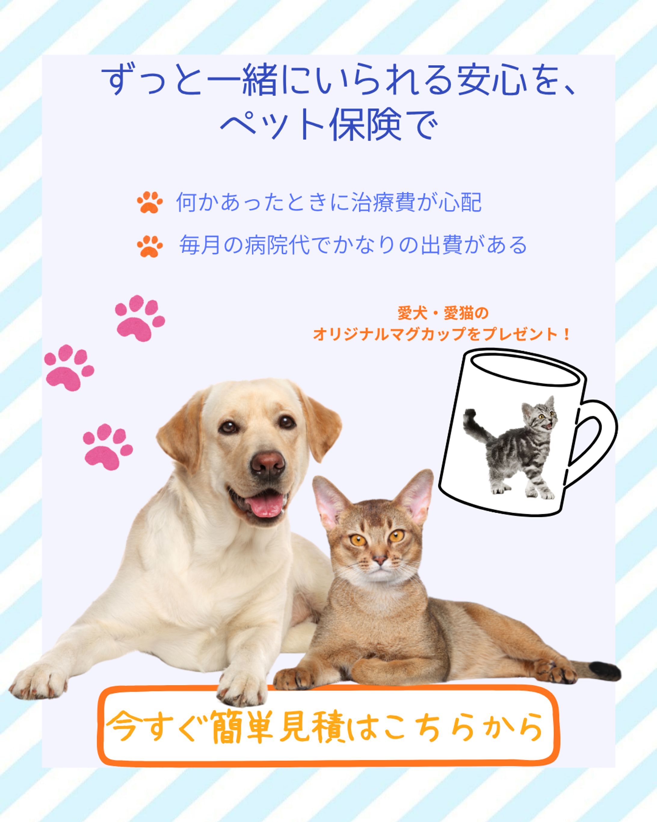 ペット保険-1