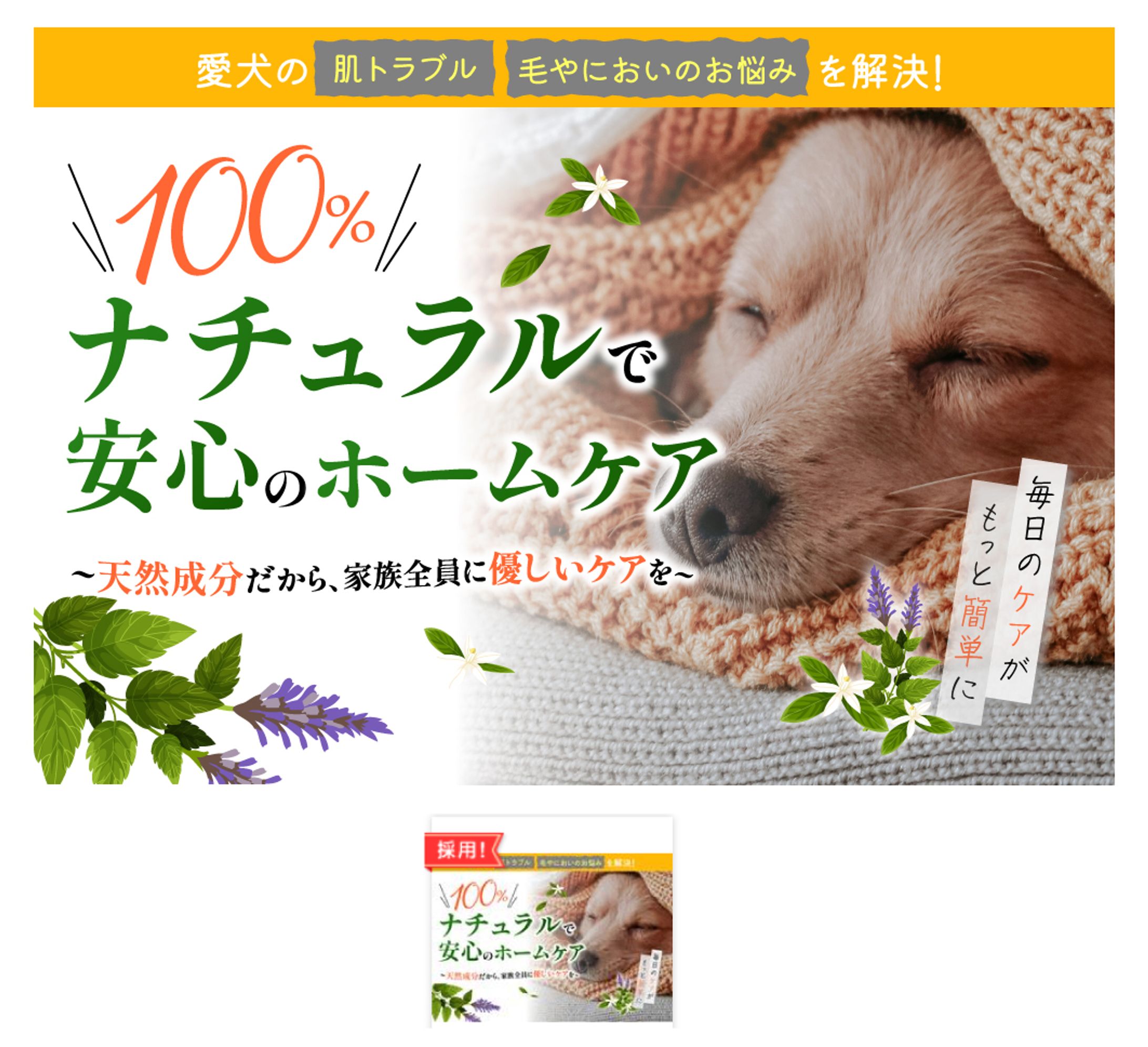 クラウドワークスコンペ採用作品-1