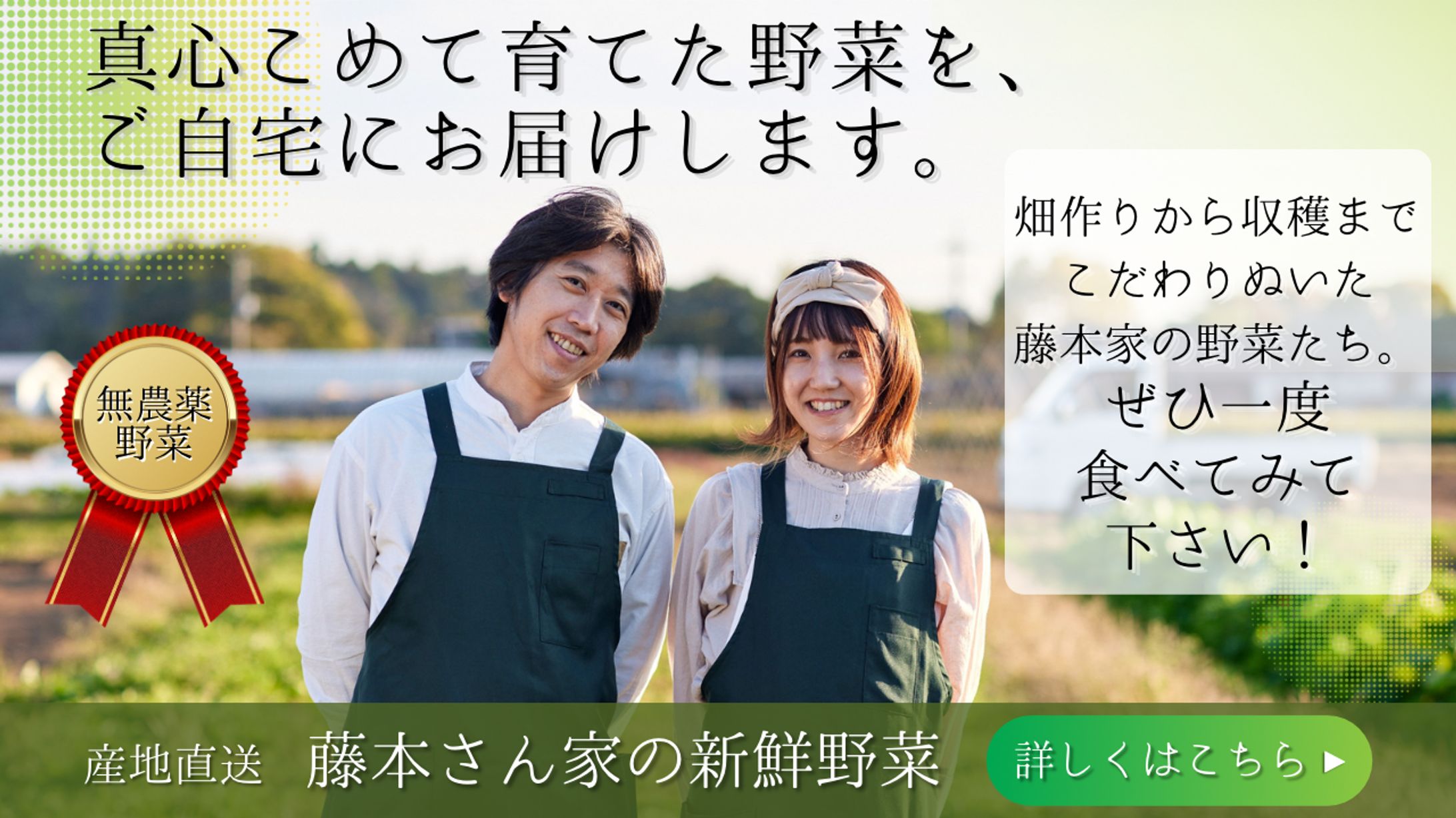 【Canva】産地直送野菜のバナー広告-1