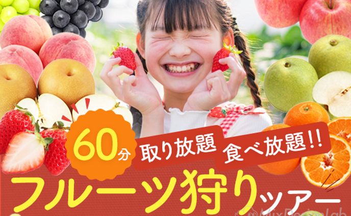 バナー：フルーツ狩り