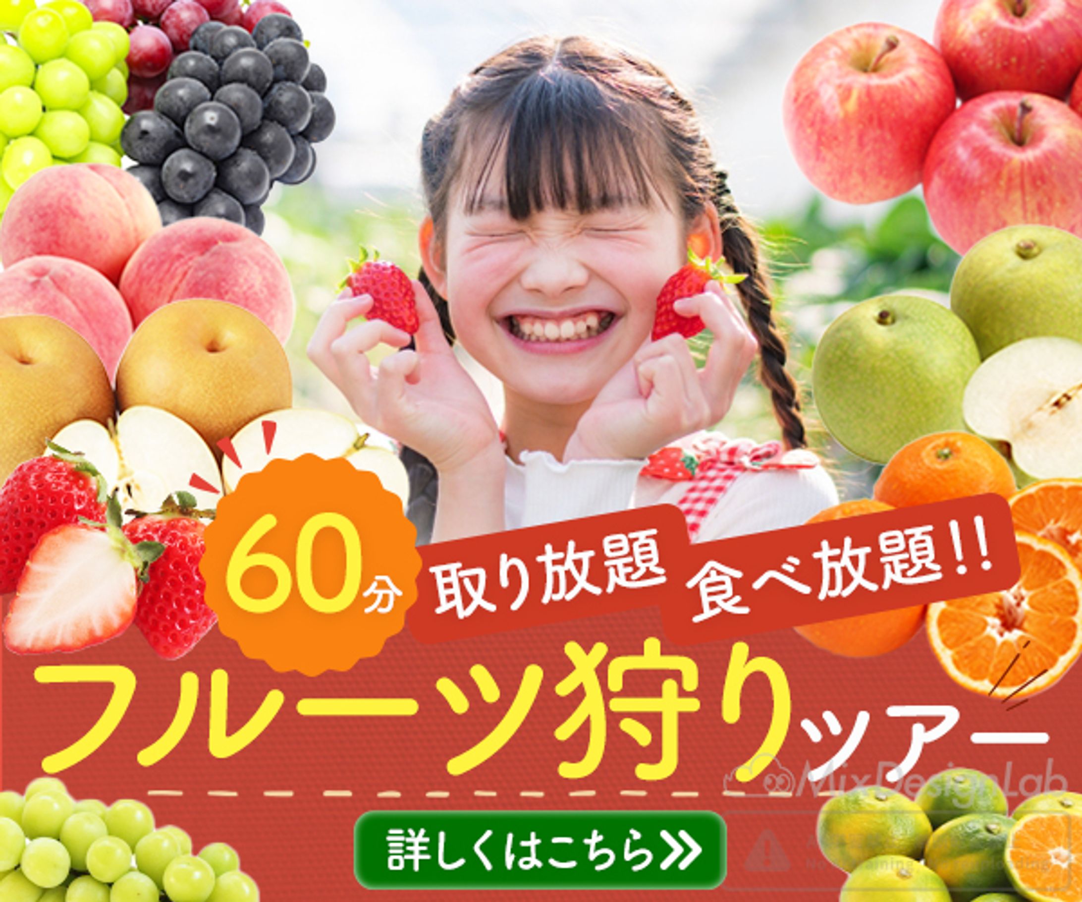 バナー：フルーツ狩り-1