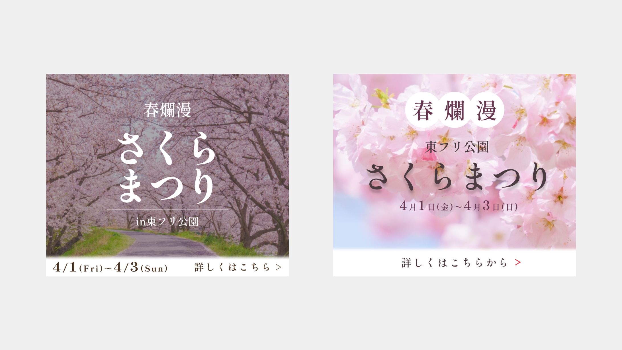 さくらまつり：バナー-1