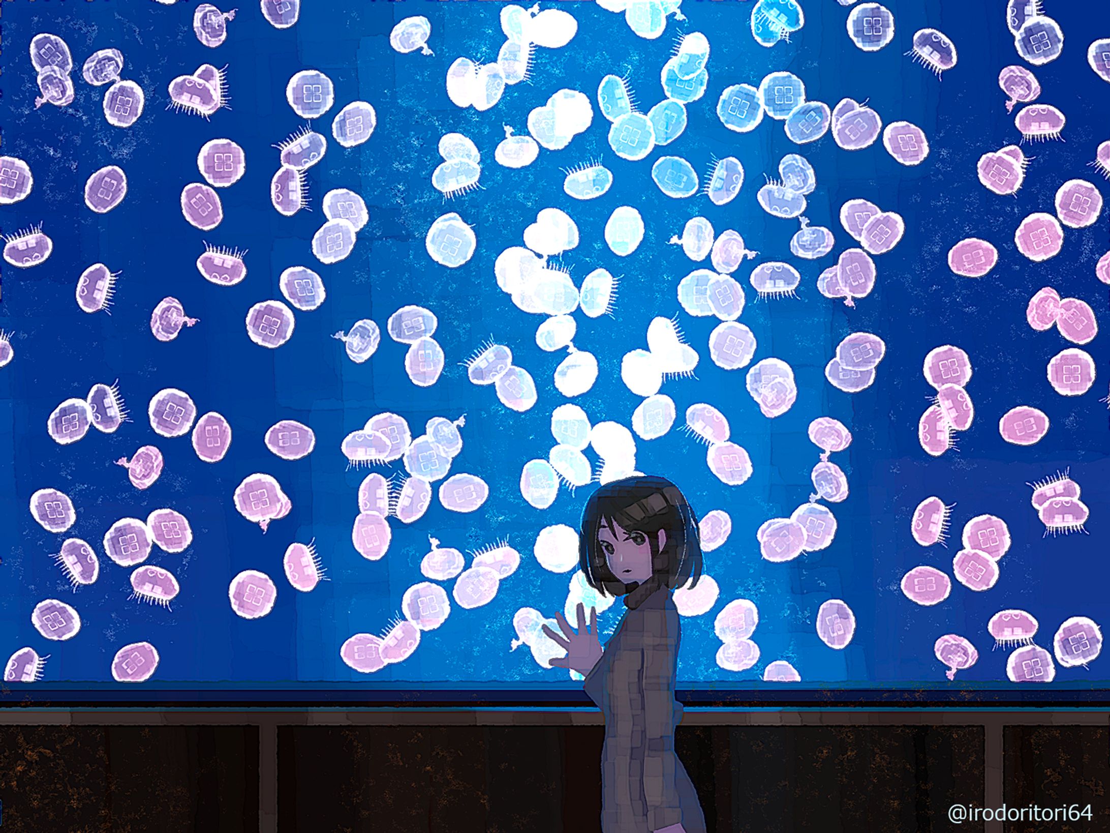 海月-1