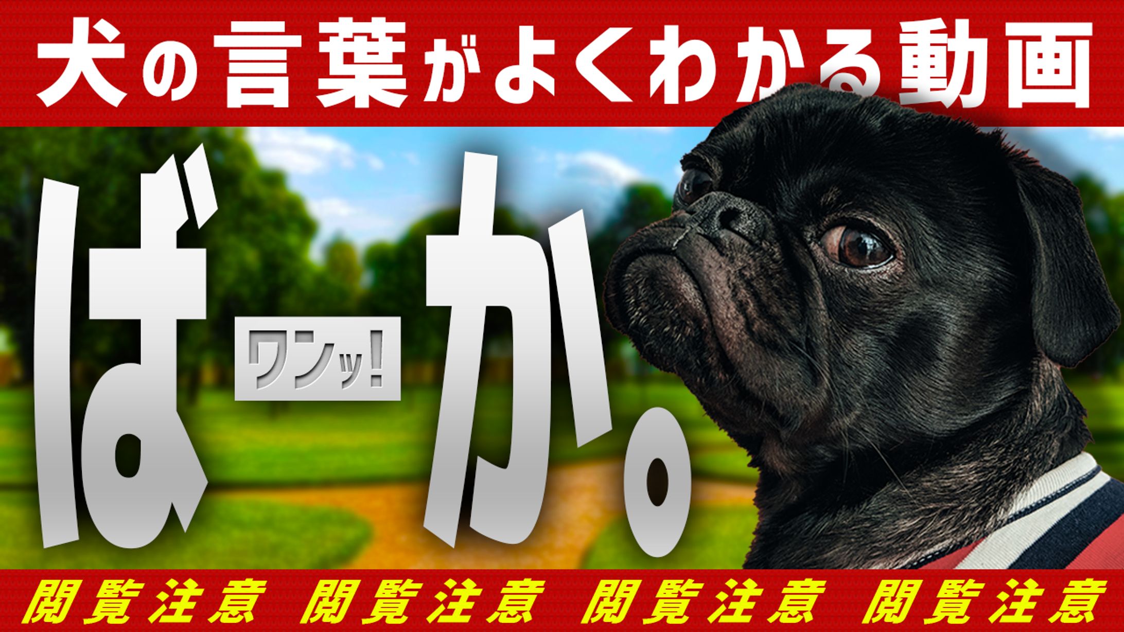 【サムネイル】エンタメ・バラエティ系-1