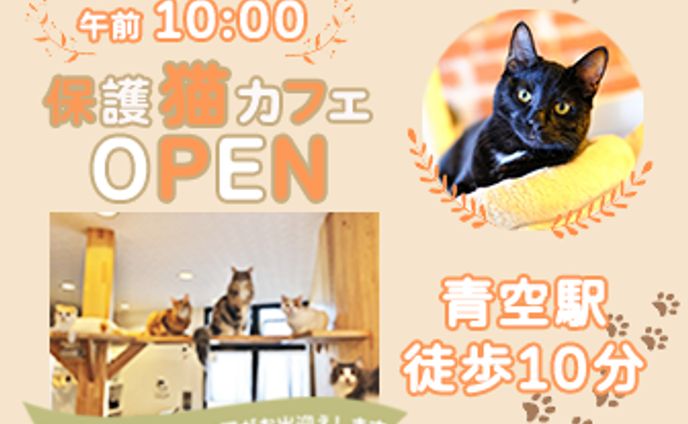 保護猫カフェ_架空バナー