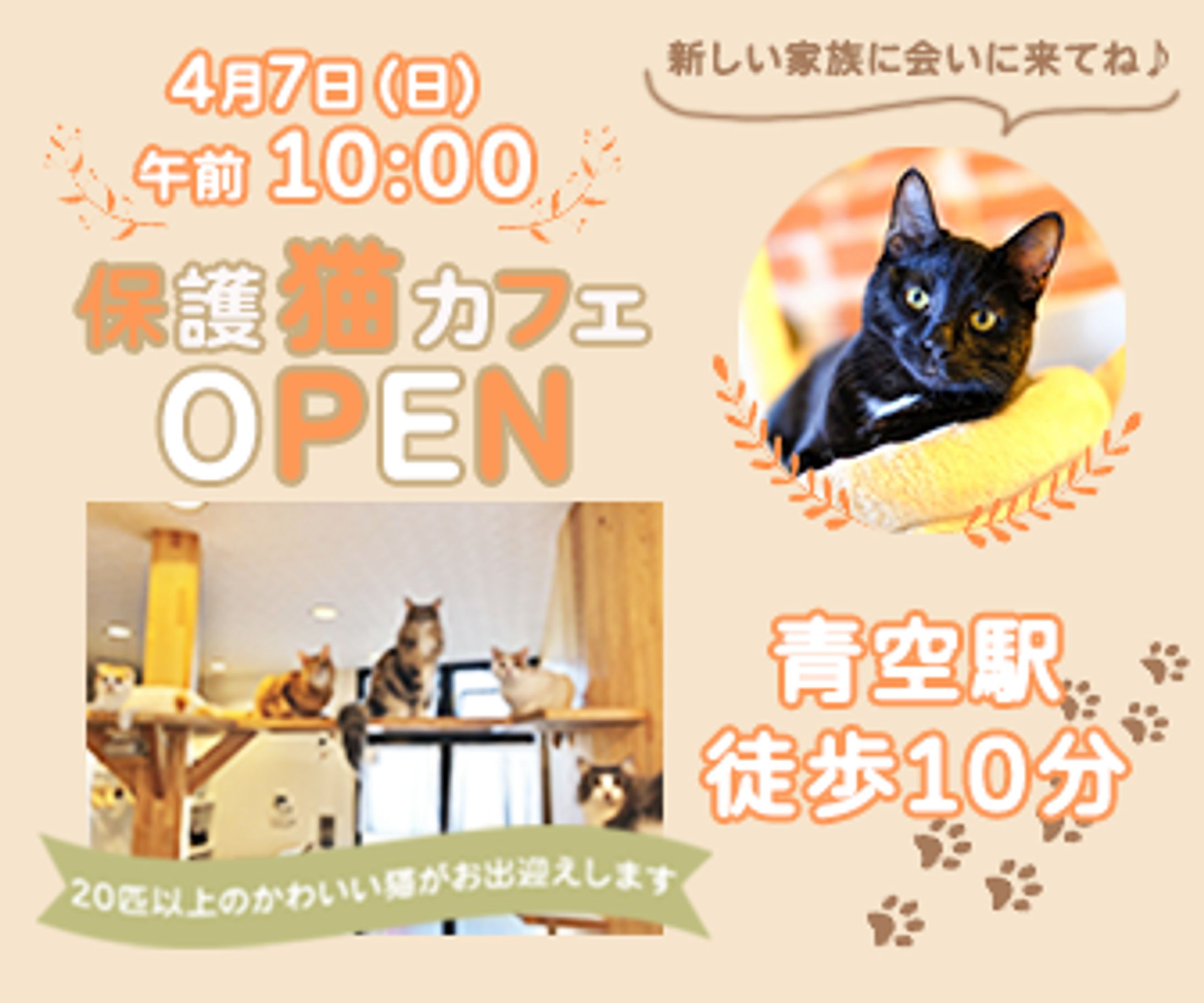 保護猫カフェ_架空バナー-1
