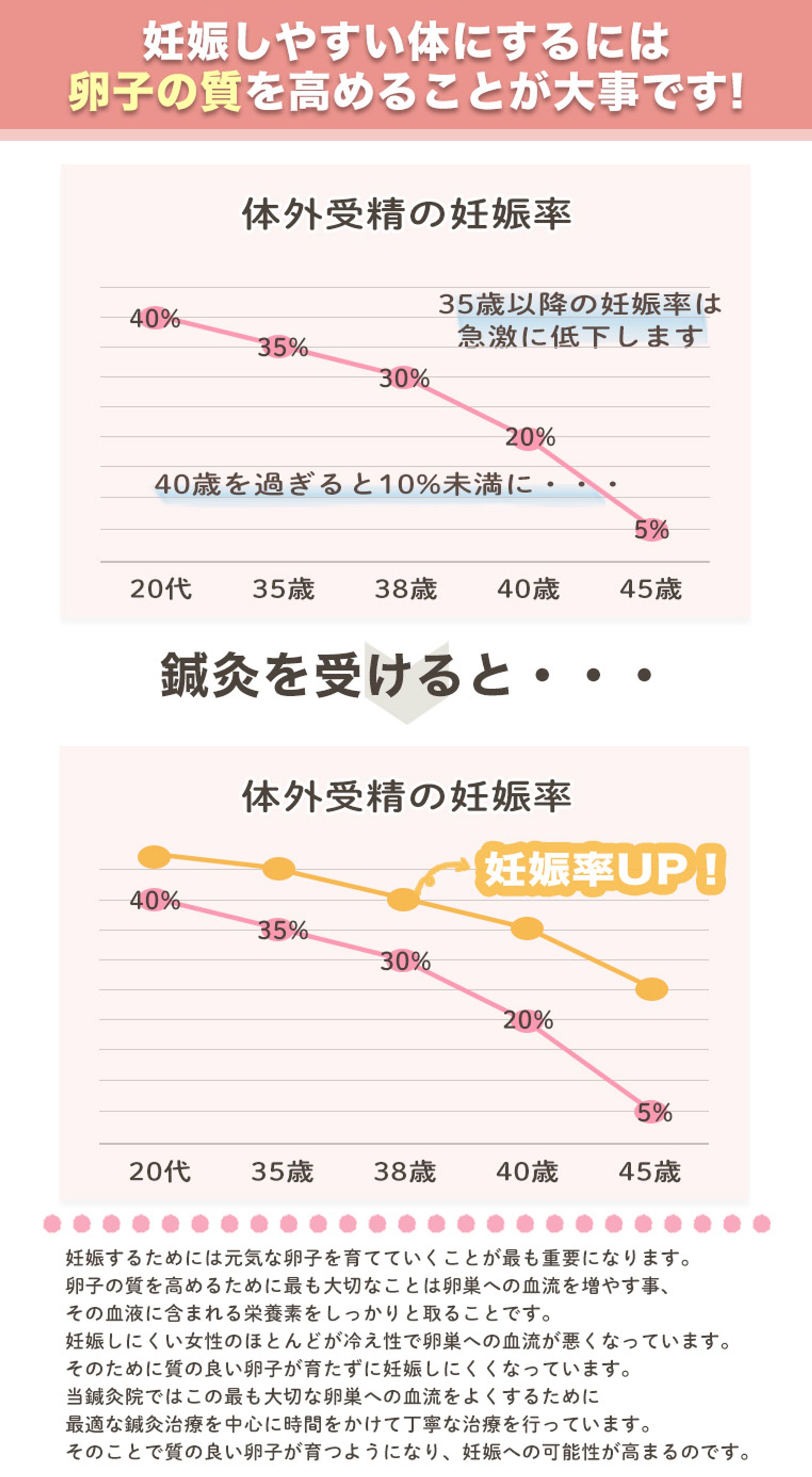 妊娠率グラフ不妊治療WEBサイト様（LP素材）-1