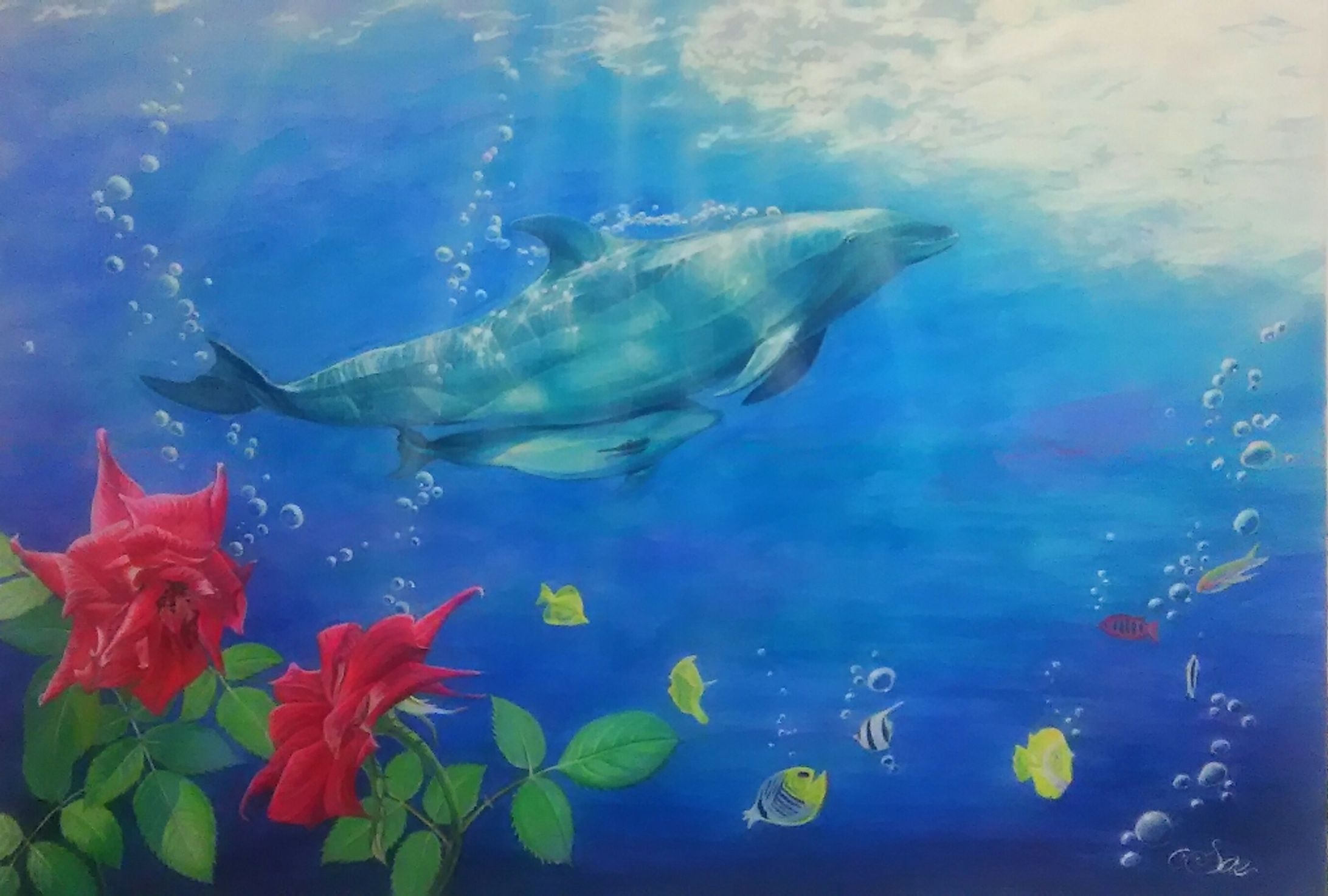 IMG 20171208 105235-1