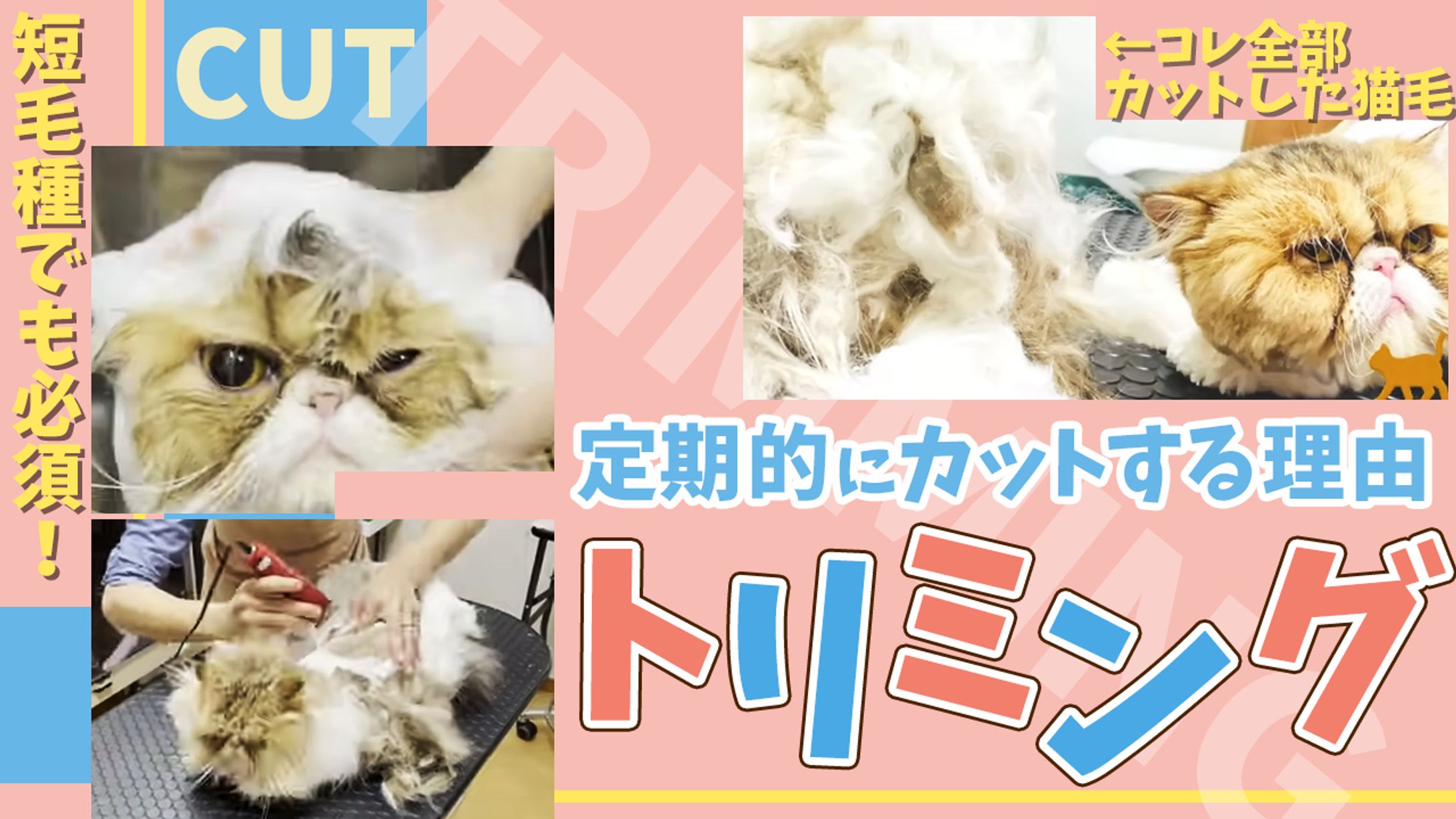 テスト制作です-1