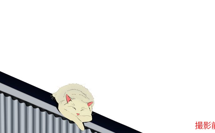 イラスト、アニメーション、リアル