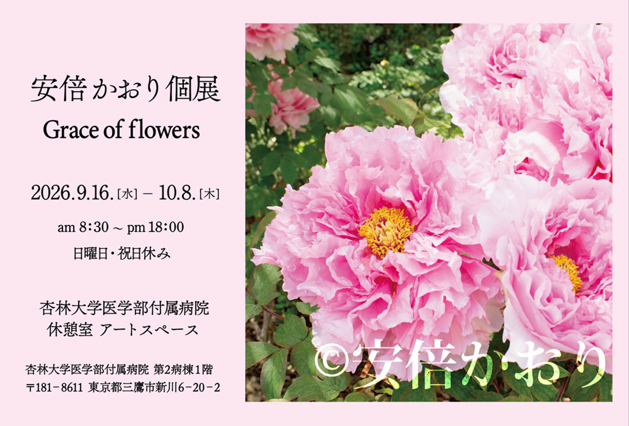 安倍かおり個展「Grace of flowers」-1