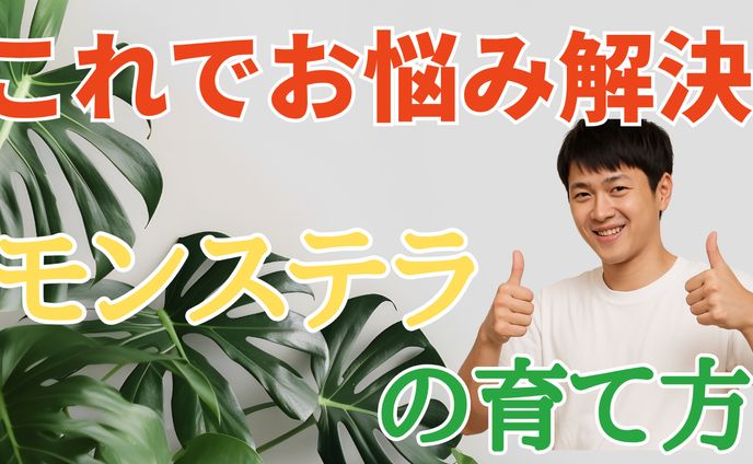 【模写】モンステラの育て方