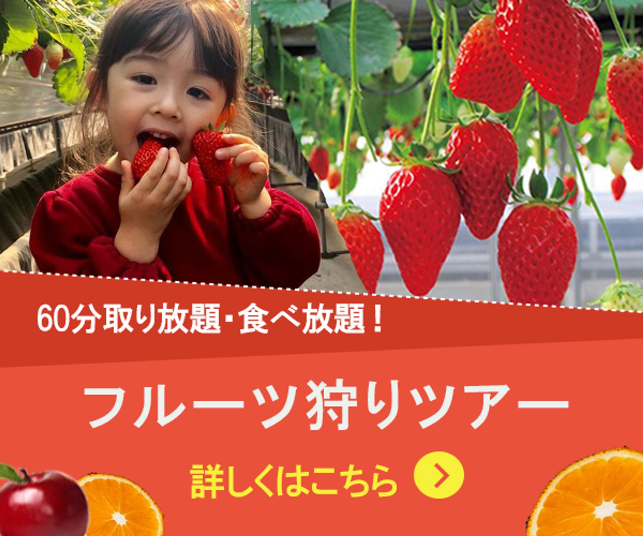 フルーツ狩り-1