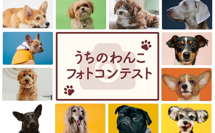わんこフォトコンテスト