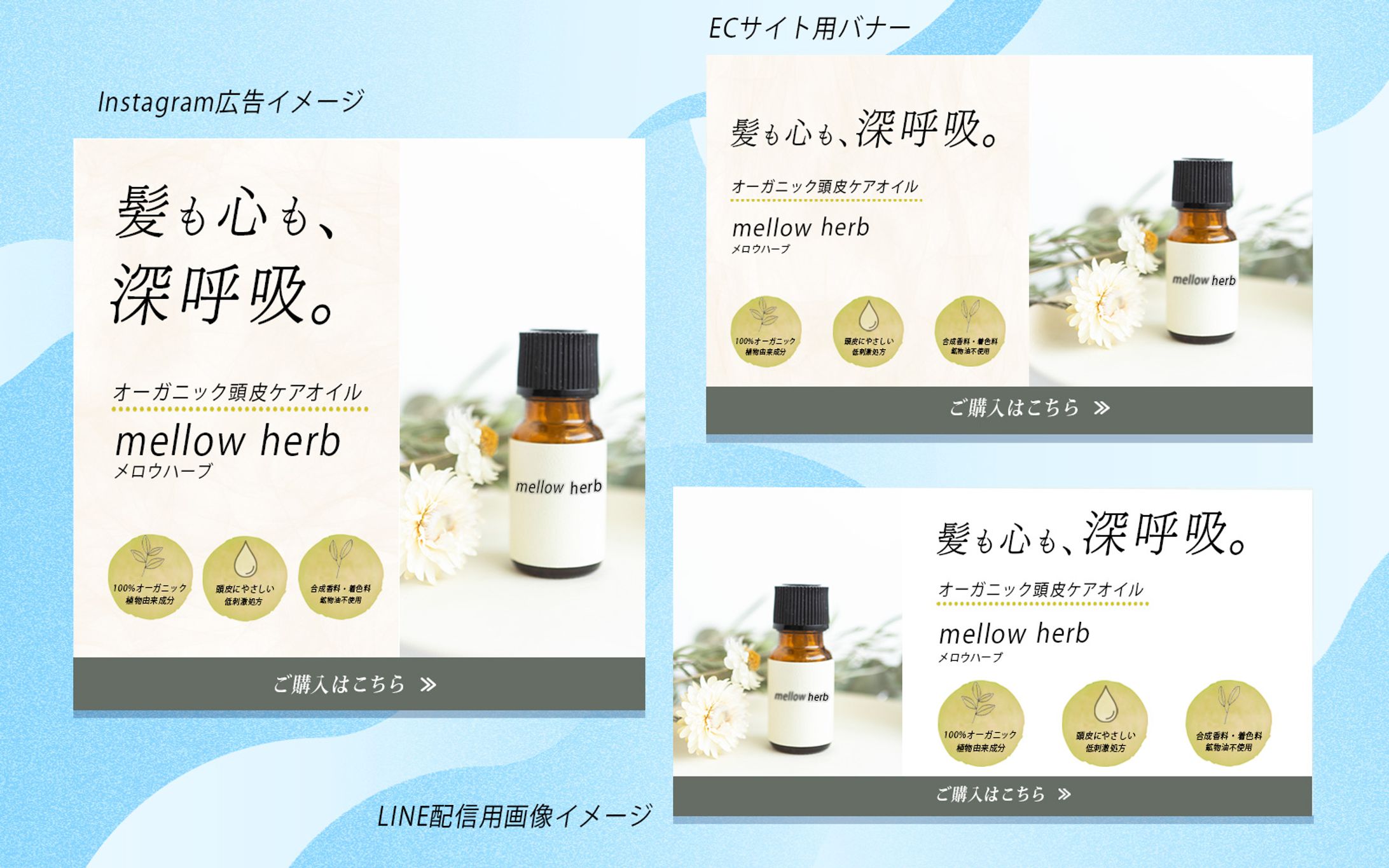 40代女性向けオーガニックヘアケアブランドビジュアル-1
