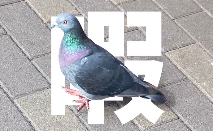 スケジュール画像、ネタ絵