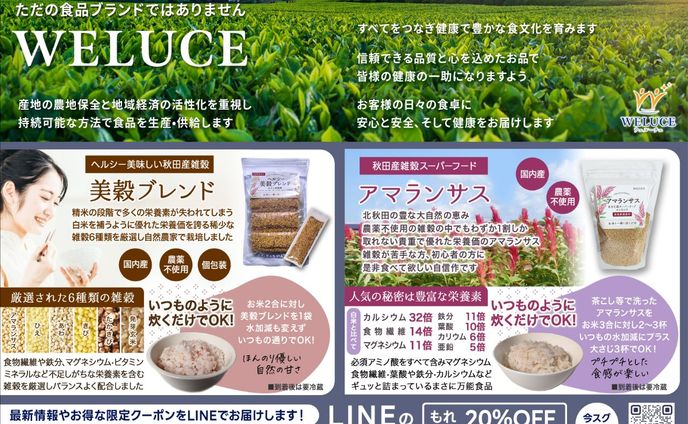 チラシ