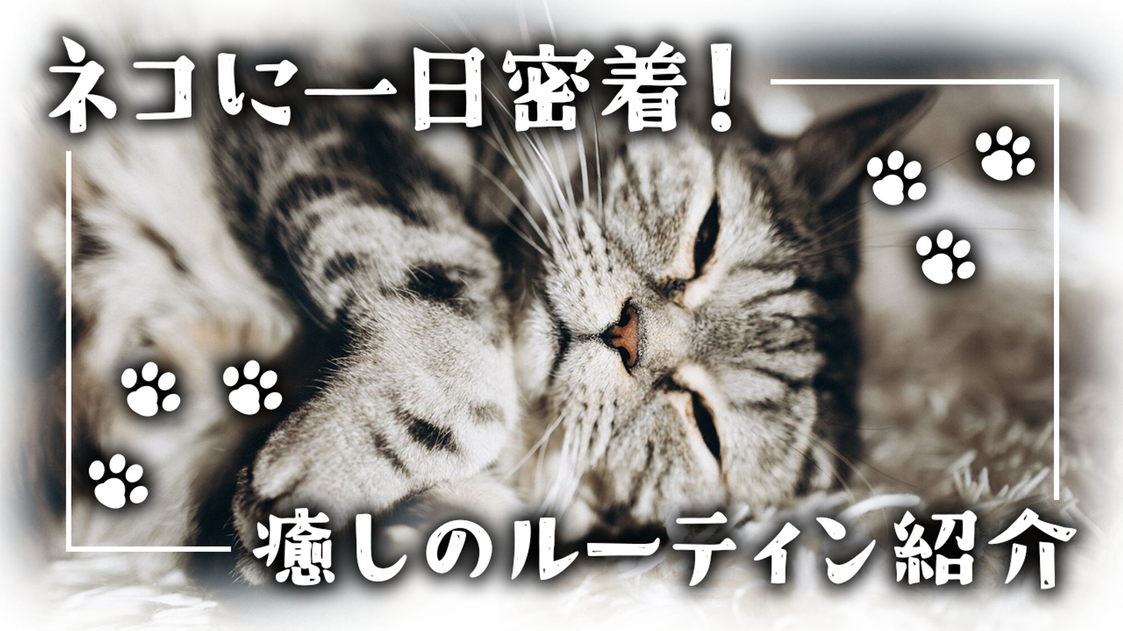 オリジナルサムネイル-1