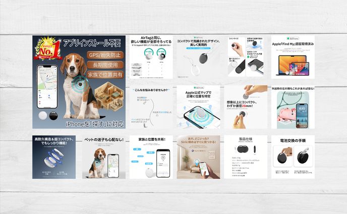 PROJECT IMAGE / GPS Smart Tag