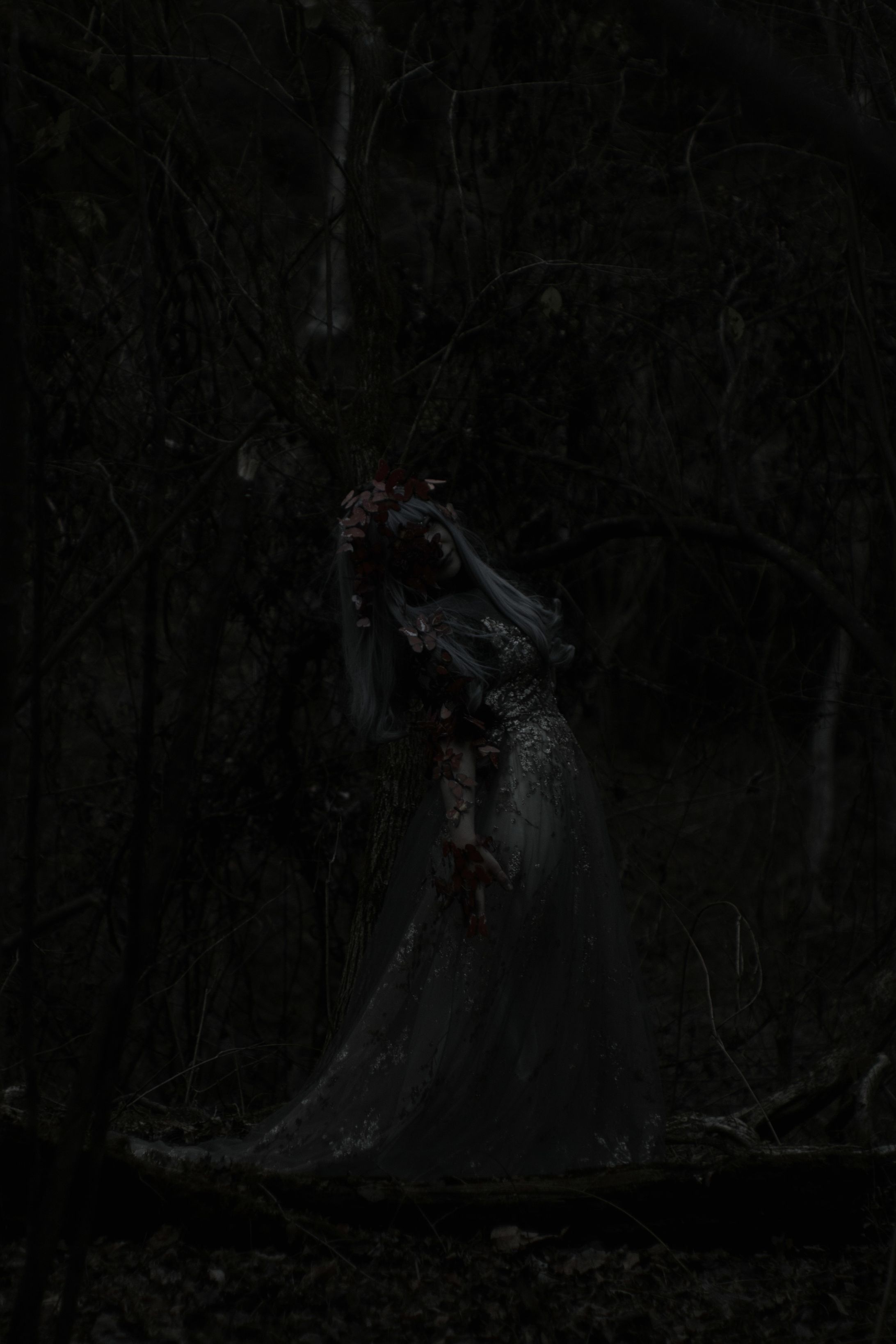 forest-1