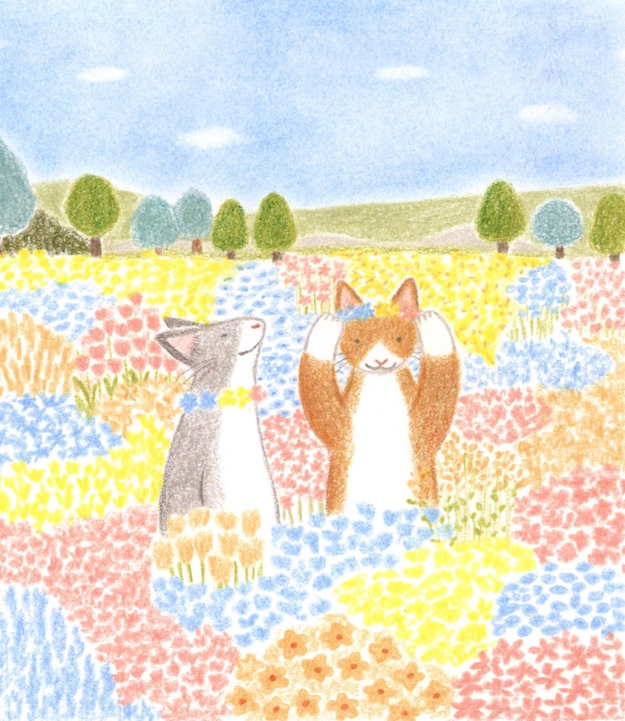 Spring hill-1