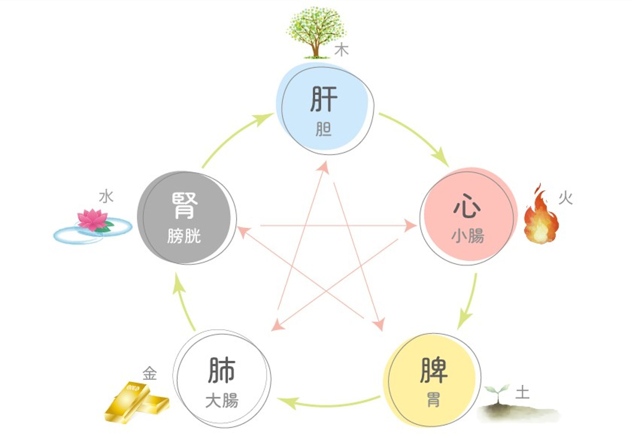 【五臓六腑関係図】草野ゆかり様-1