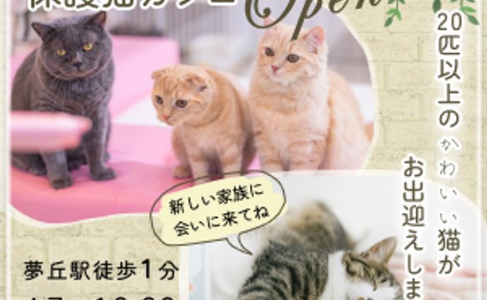 制作バナー　保護猫カフェ