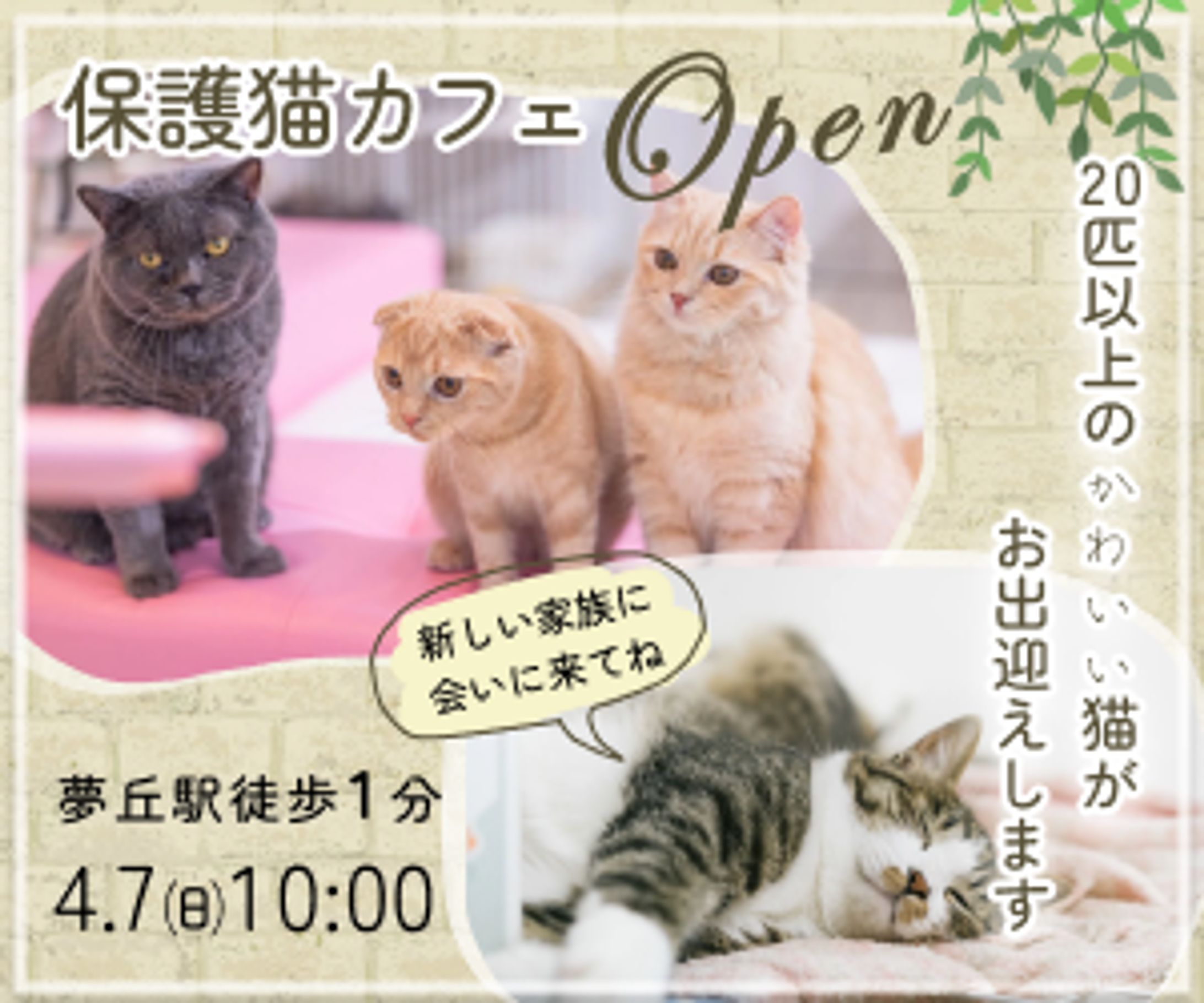 制作バナー　保護猫カフェ-1