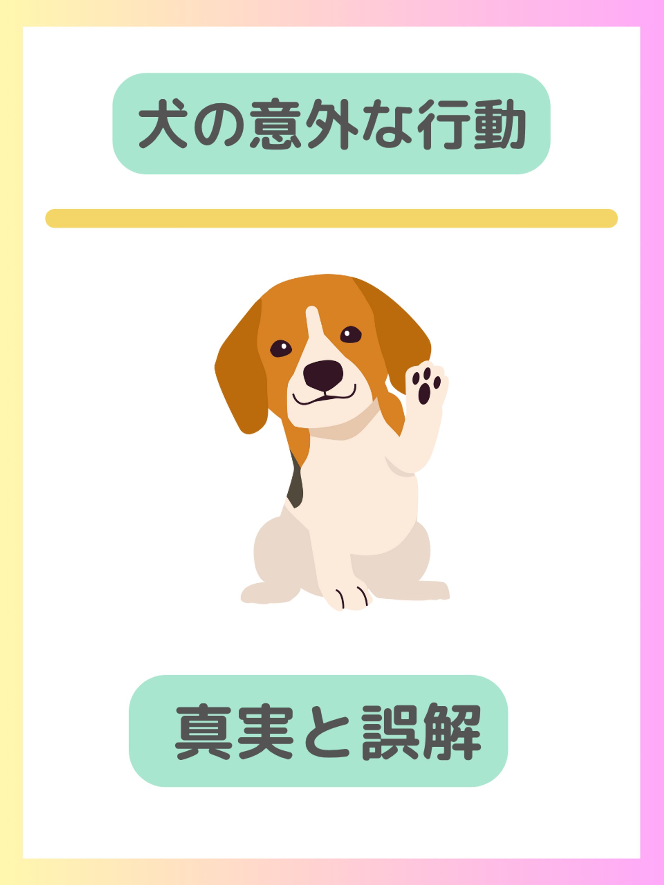 犬の意外な行動（TikTok）-1