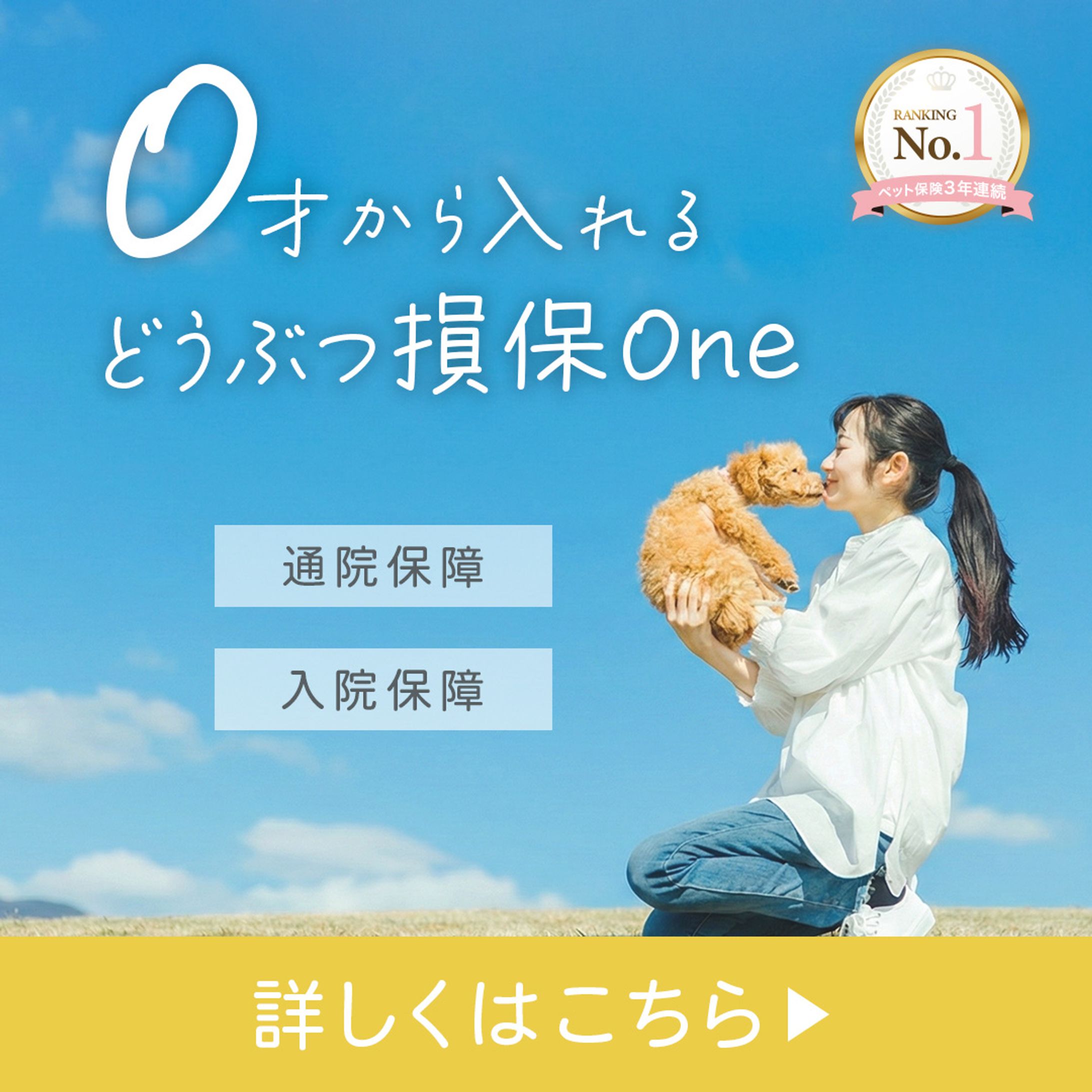 ペット保険広告バナー-1