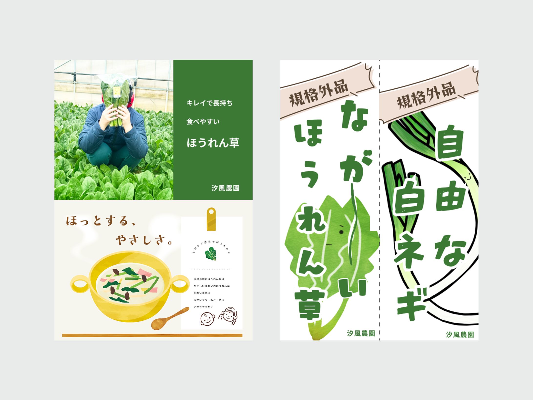 農家POP / ほうれん草-1