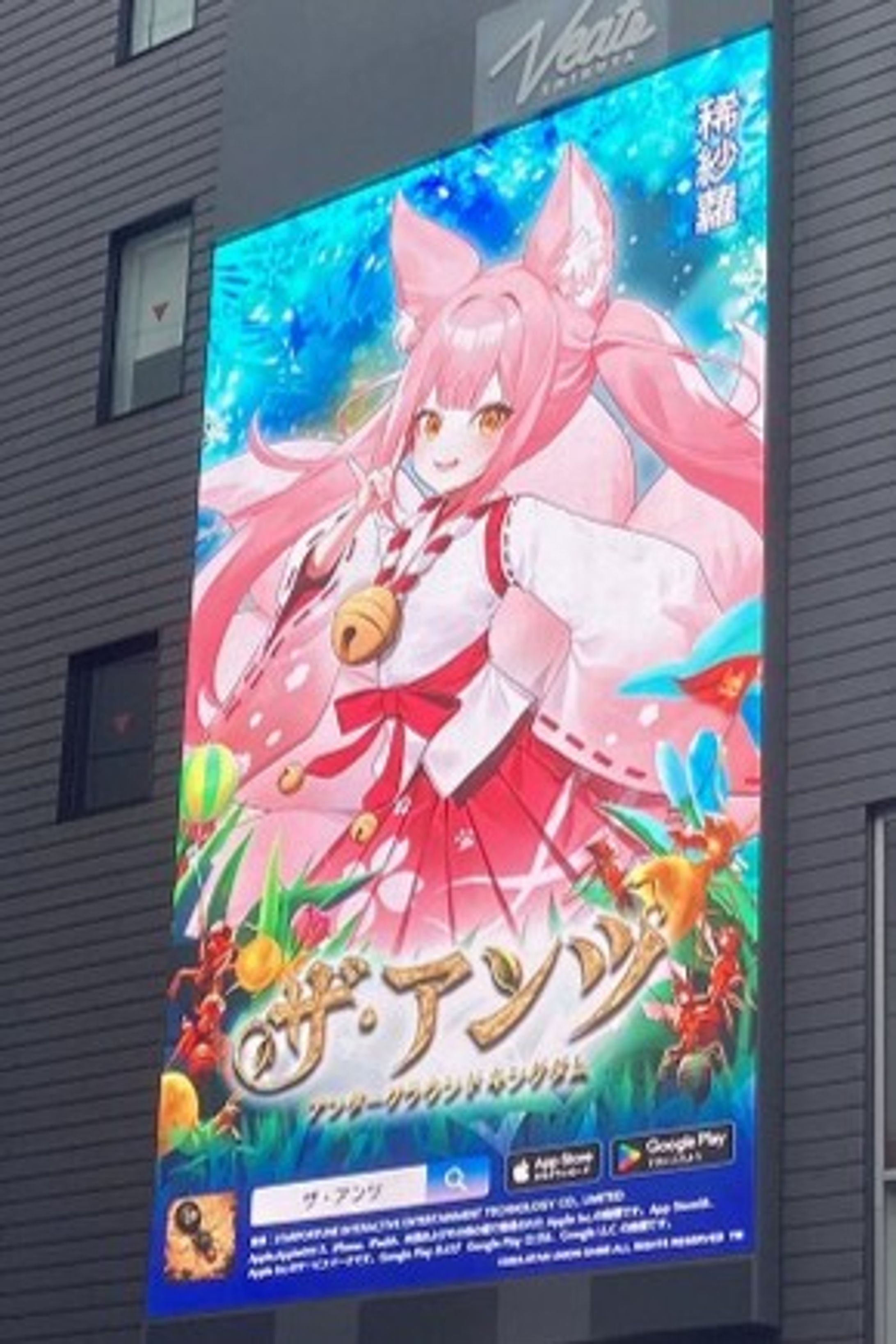 【イベント出演】Veats Shibuya Vision-1