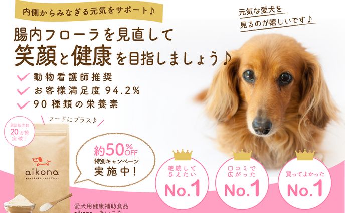 aikona バナー