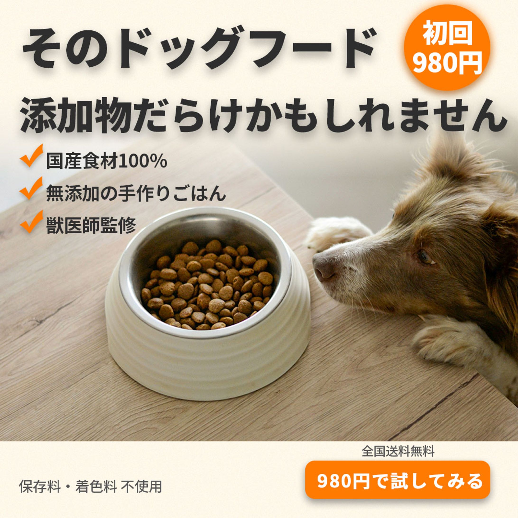 ドッグフードバナー-1